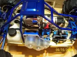 MTandLosi010.webp