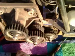 17428929246_ORIG.webp