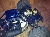 th_redcat8.webp