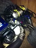 th_redcat7.webp