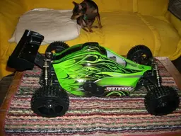 100_0253.webp