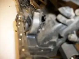 100_0286.webp