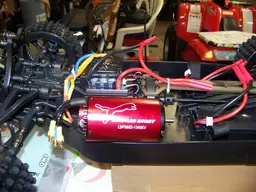 e-revoxb-eleopard002.webp