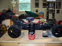 e-revoxb-eleopard012.webp