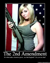 2ndAmendment.webp 2ndAmendment.webp