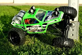 losi2.webp