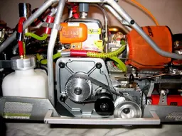 nocarter2.webp