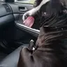 Turbokevin81