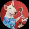 Picodogg