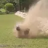 plntman1