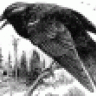 CroW