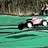Briscaf1