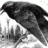 CroW