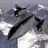 superblackbird