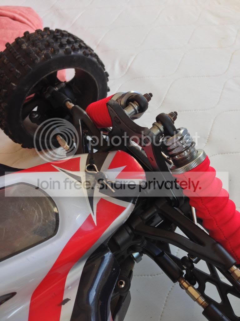 IMG_3767_zps79c26e40.jpg