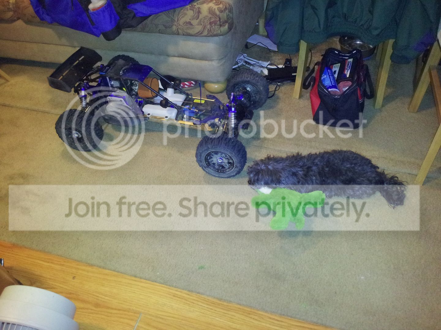 2012-11-01195523.jpg