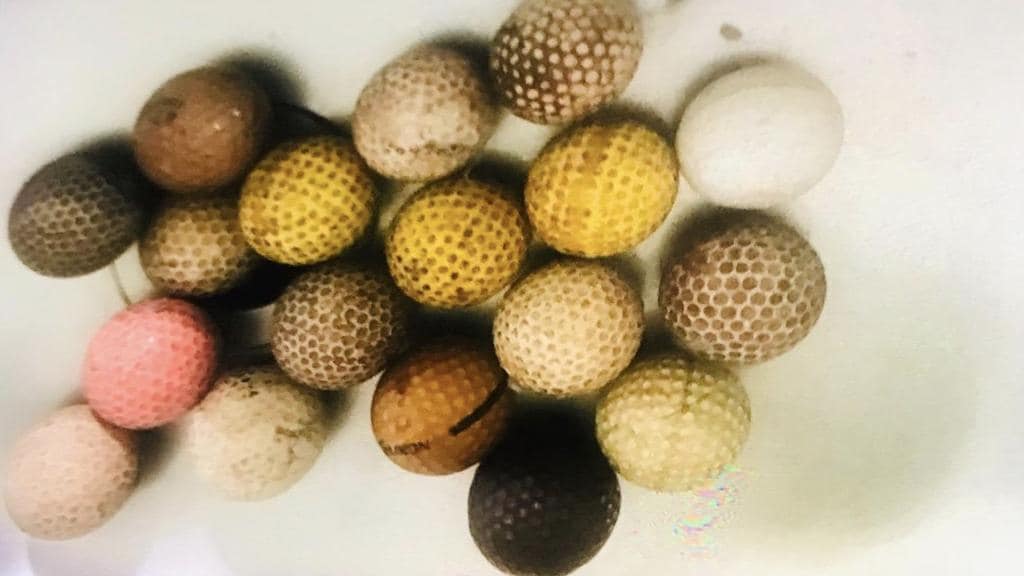 Almost a kilogram of golf balls were removed. Photo: Supplied